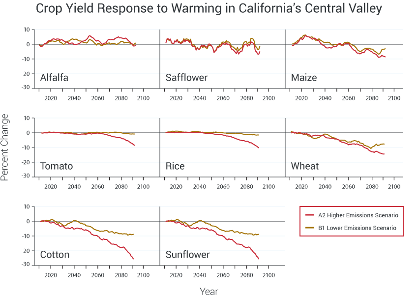 Crop Yield Response to Warming in California's Central Valley