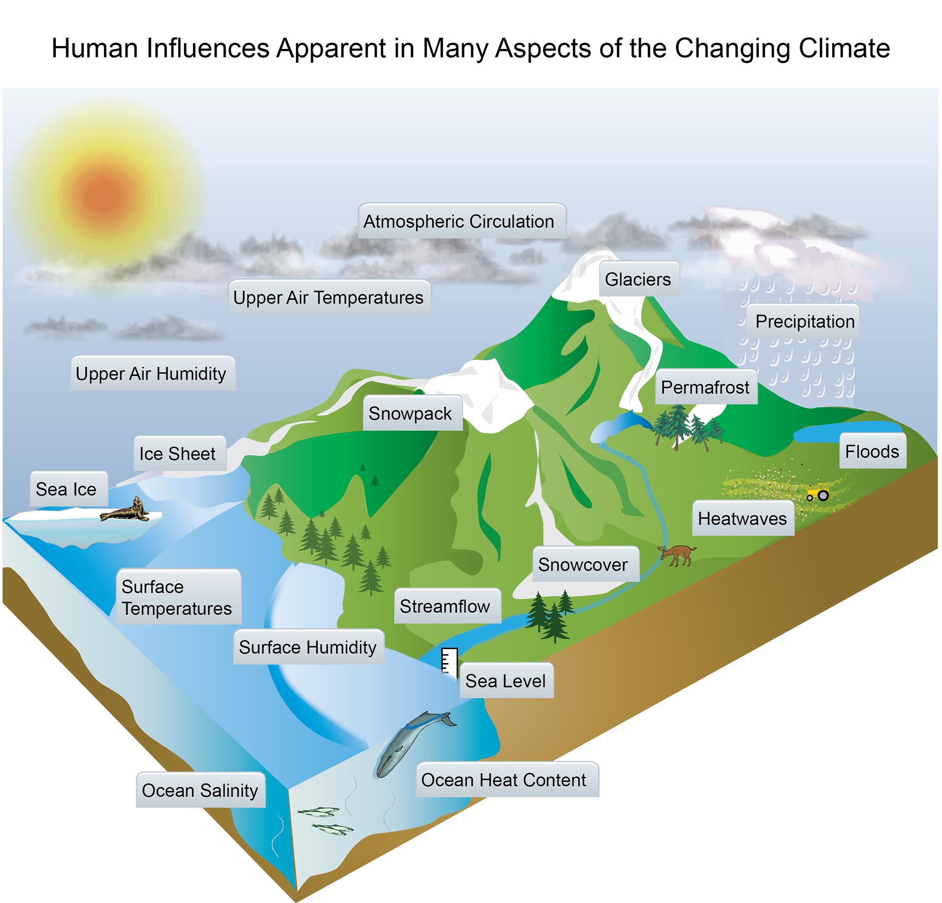 Essay on anthropogenic activities on land