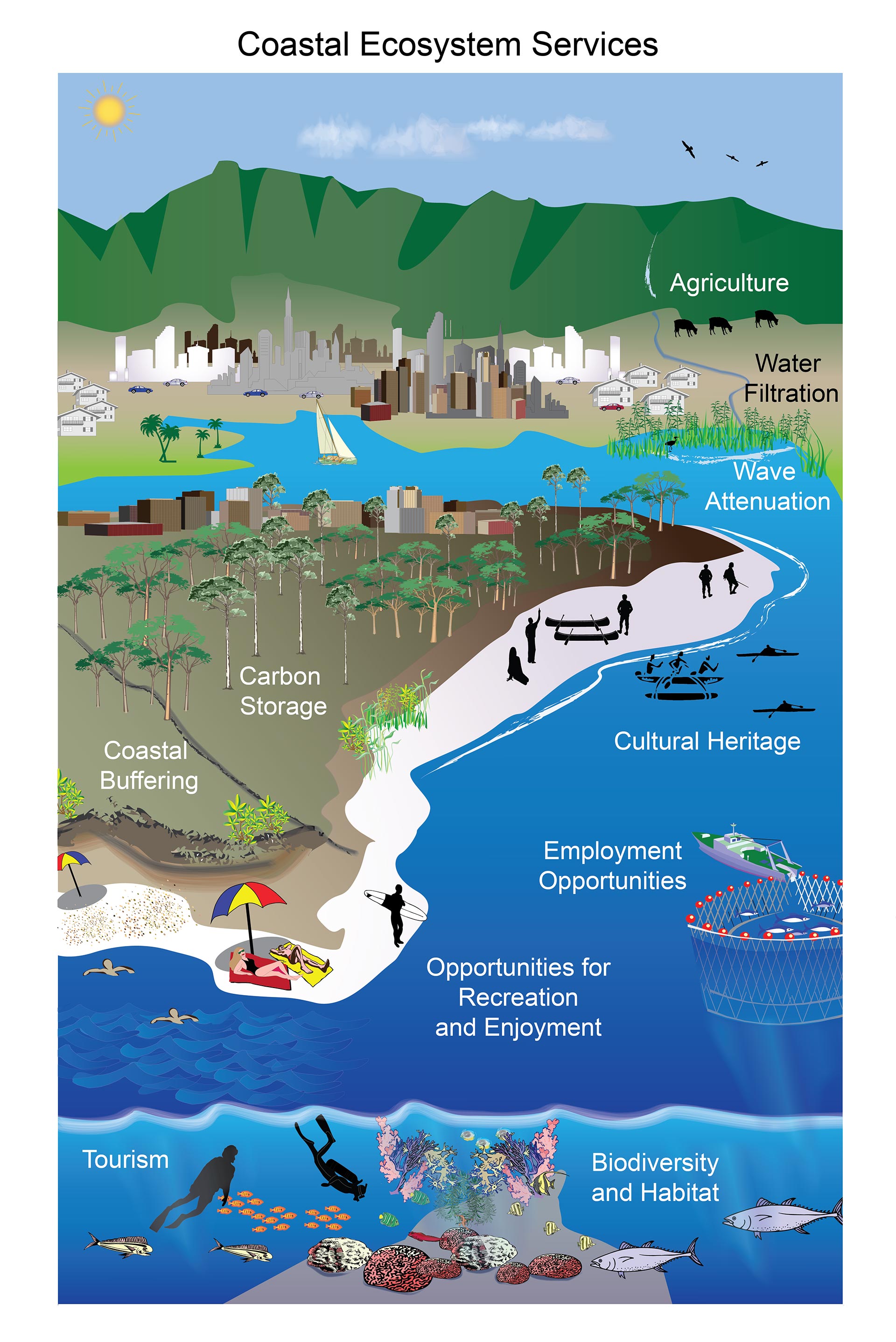 Climatic regions examples of thesis