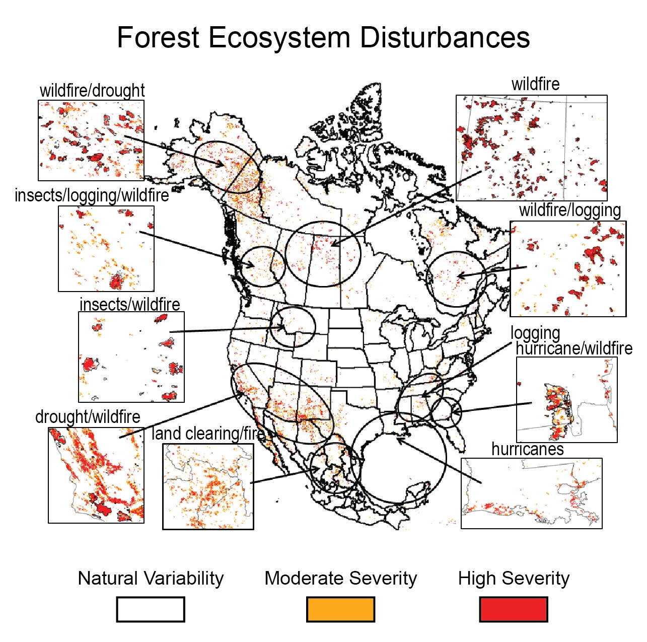 Ecosystem Disturbance Examples