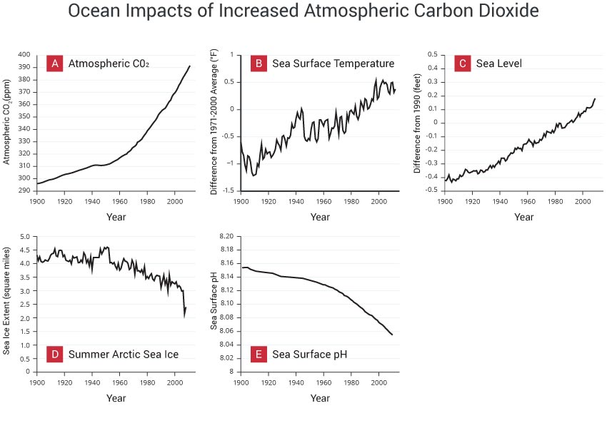 Ocean Impacts of Increased Atmospheric Carbon Dioxide
