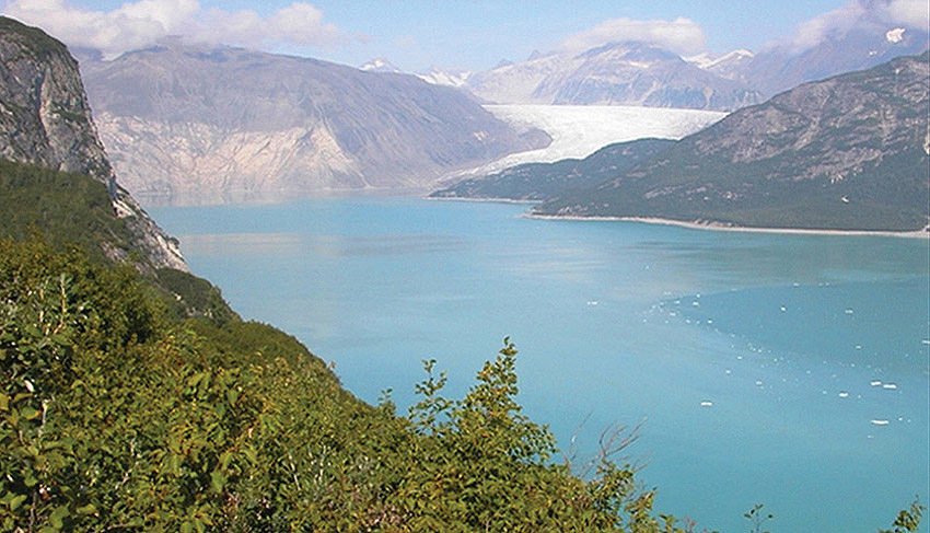 80% of mountain glaciers in Alberta, B.C. and Yukon will disappear within  50 years: report