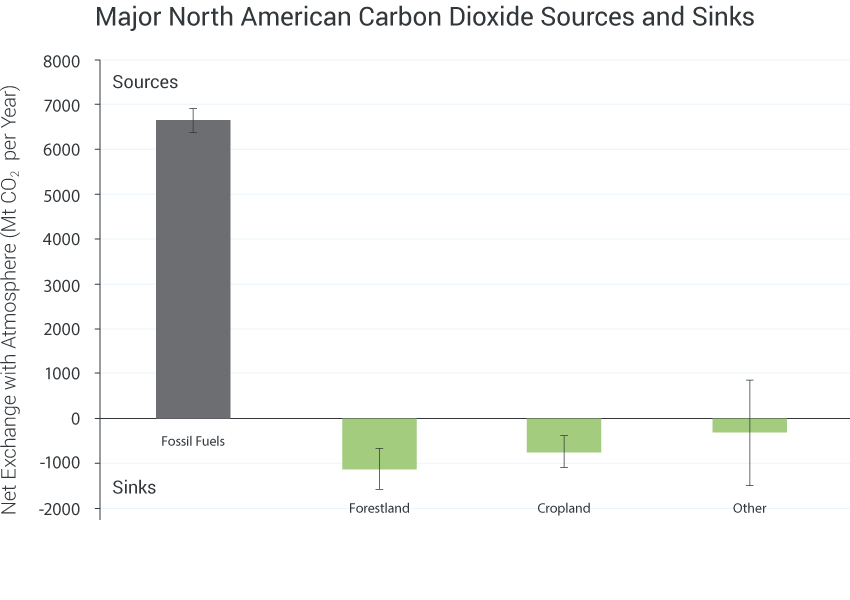 Major North American Carbon Dioxide Sources and Sinks