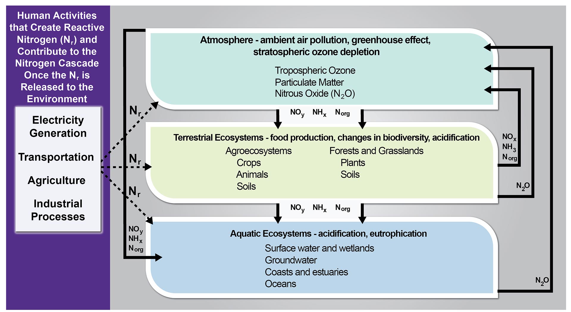 Biogeochemical Cycles National Climate Assessment