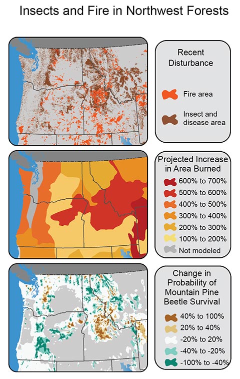 Northwest | National Climate Assessment